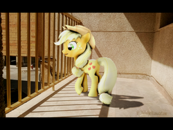 Size: 1024x768 | Tagged: safe, artist:moonight118, applejack, g4, 3d, building, irl, ledge, photo, ponies in real life, shadow, solo, source filmmaker, street