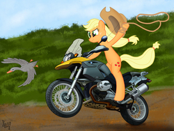 Size: 2048x1536 | Tagged: safe, artist:aagun, applejack, duck, g4, female, lasso, motorcycle, solo