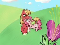 Size: 748x563 | Tagged: safe, artist:shanny-bananie, artist:sweetsrmything, big macintosh, pinkie pie, earth pony, pony, g4, flower, male, ship:pinkiemac, shipping, stallion, straight