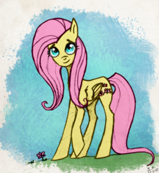 Size: 900x979 | Tagged: safe, artist:bluefluffydinosaur, fluttershy, g4, female, solo