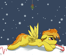 Size: 1280x1097 | Tagged: safe, artist:fishy-pony, spitfire, g4, candy cane, female, mistleholly, mistletoe, mouth hold, snow, snowfall, snowflake, solo, winter
