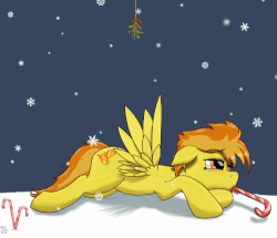 Size: 500x429 | Tagged: safe, artist:fishy-pony, spitfire, g4, animated, candy cane, christmas, female, holiday, mistleholly, mistletoe, mouth hold, snow, snowfall, snowflake, solo, winter