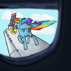 Size: 1440x1440 | Tagged: safe, artist:fancoral, fluttershy, rainbow dash, g4, plane