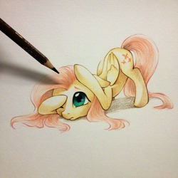 Size: 1280x1280 | Tagged: safe, artist:chakanyuantu, fluttershy, pegasus, pony, g4, colored pencil drawing, covering, drawn into existence, face down ass up, female, floppy ears, folded wings, looking up, pencil, solo, traditional art, wings