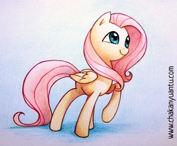 Size: 1280x1057 | Tagged: safe, artist:chakanyuantu, fluttershy, g4, female, solo, traditional art