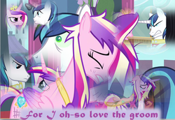 Size: 712x491 | Tagged: safe, artist:x-princess-cadance-x, edit, edited screencap, screencap, princess cadance, shining armor, a canterlot wedding, g4, cadence aria, collage, female, male, ship:shiningcadance, shipping, song reference, straight, this day aria, this day aria part 1