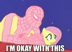 Size: 483x352 | Tagged: safe, fluttershy, pegasus, pony, g4, 60s spider-man, crossover, female, image macro, male, mare, meme, spider-man