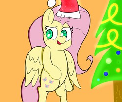 Size: 2400x2000 | Tagged: safe, artist:randomnameher3, fluttershy, g4, christmas, hat, high res, santa hat, textless