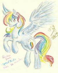 Size: 1976x2491 | Tagged: safe, artist:winged-dragoness, rainbow dash, g4, female, solo, traditional art