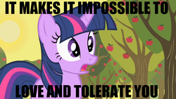 Size: 1280x720 | Tagged: safe, edit, edited screencap, screencap, twilight sparkle, g4, image macro, love and tolerate, meme, reaction image