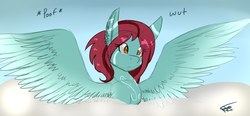 Size: 1280x593 | Tagged: safe, artist:pinkiepiestyle, oc, oc only, pegasus, pony, cloud, cloudy, solo