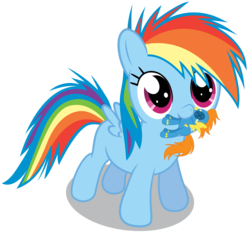 Size: 6000x5584 | Tagged: dead source, safe, artist:chubble-munch, rainbow dash, spitfire, g4, absurd resolution, cute, dashabetes, doll, female, filly, filly rainbow dash, mouth hold, plushie, solo, younger