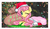 Size: 1000x585 | Tagged: dead source, safe, artist:suzuii, angel bunny, fluttershy, g4, hat, santa hat, wink