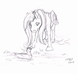 Size: 688x661 | Tagged: safe, artist:carnivorouscaribou, fluttershy, bird, duck, pegasus, pony, g4, animal, duo, female, looking down, mare, monochrome, newbie artist training grounds, pond, realistic horse legs, sketch, traditional art