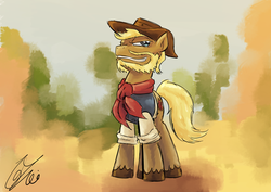 Size: 1023x723 | Tagged: safe, artist:lovelyneckbeard, oc, oc only, clothes, hat, scarf, solo