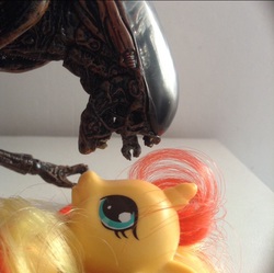 Size: 768x766 | Tagged: safe, sunset shimmer, alien, pony, xenomorph, g4, action figure, alien (franchise), alien 3, photo