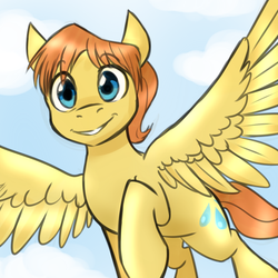Size: 750x750 | Tagged: safe, artist:jitterbugjive, warm front, pegasus, pony, g4, cloud, commission, flying, looking at you, male, sky, smiling, solo, spread wings, stallion, wings
