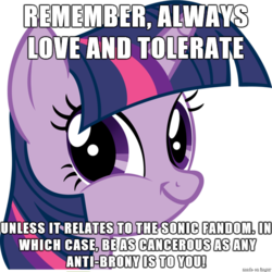 Size: 600x600 | Tagged: safe, twilight sparkle, g4, crossover, drama, faic, hypocrisy, image macro, love and tolerate, meme, meta, sonic drama, sonic the hedgehog (series), twiface