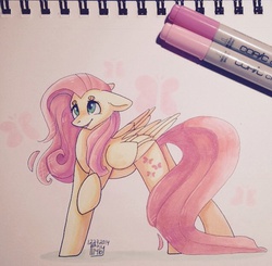 Size: 1267x1241 | Tagged: safe, artist:sarehkee, fluttershy, g4, female, solo, traditional art