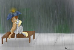 Size: 1500x1000 | Tagged: safe, artist:silenceartist, derpy hooves, doctor whooves, time turner, pegasus, pony, g4, female, male, mare, rain, ship:doctorderpy, shipping, straight, tardis, umbrella