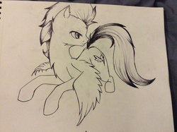 Size: 1024x765 | Tagged: safe, artist:faricam, soarin', g4, male, monochrome, old cutie mark, solo, traditional art