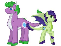 Size: 1024x778 | Tagged: safe, artist:pimpartist101, oc, oc only, dracony, hybrid, brother and sister, interspecies offspring, offspring, parent:rarity, parent:spike, parents:sparity, simple background, white background