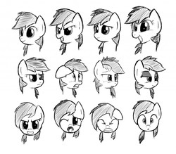 Size: 1280x1119 | Tagged: safe, artist:sheandog, rainbow dash, g4, female, monochrome, sketch dump, solo