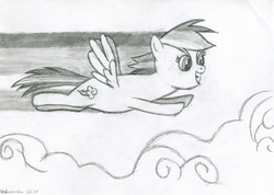 Size: 8212x5834 | Tagged: safe, artist:techarmsbu, rainbow dash, g4, absurd resolution, female, flying, monochrome, solo, traditional art