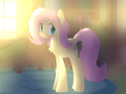 Size: 2592x1944 | Tagged: safe, artist:alexander56910, fluttershy, g4, blushing, bright, chest fluff, crepuscular rays, female, fluffy, folded wings, house, looking at you, messy mane, solo, standing, window