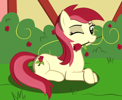 Size: 2225x1830 | Tagged: safe, artist:misstickles, roseluck, pony, g4, female, rose, solo