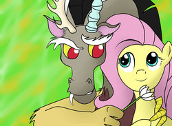 Size: 1024x749 | Tagged: safe, artist:henshidoku, discord, fluttershy, g4, female, flower, looking at each other, male, ship:discoshy, shipping, straight