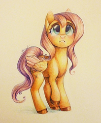 Size: 1929x2351 | Tagged: safe, artist:locksto, fluttershy, g4, :c, female, looking up, raised hoof, solo, traditional art