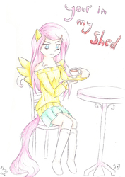 Size: 495x700 | Tagged: safe, artist:blueslyveon123, fluttershy, human, .mov, g4, eared humanization, female, fluttershed, humanized, solo, tailed humanization, winged humanization