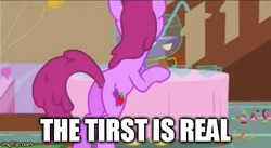 Size: 490x269 | Tagged: safe, edit, edited screencap, screencap, berry punch, berryshine, earth pony, pony, call of the cutie, g4, butt, caption, image macro, meme, misspelling, plot, text, the thirst is real