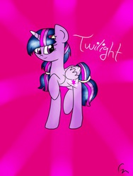 Size: 768x1024 | Tagged: safe, artist:php76, twilight sparkle, alicorn, pony, g4, alternate hairstyle, barrette, female, mare, signature, solo, twilight sparkle (alicorn)