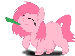 Size: 2048x1536 | Tagged: safe, artist:fluffsplosion, fluffy pony, kazoo, musical instrument