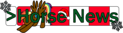 Size: 1100x300 | Tagged: safe, rainbow dash, g4, christmas, exploitable meme, horse news, meme, rudolph the red nosed reindeer, your move seth