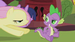 Size: 864x486 | Tagged: safe, screencap, fluttershy, spike, twilight sparkle, friendship is magic, g4, animated, golden oaks library, ponyville, tree