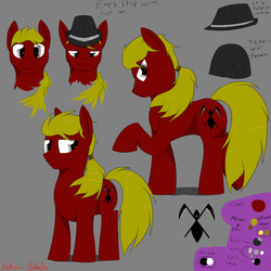 Size: 3500x3500 | Tagged: safe, artist:ricktin, oc, oc only, oc:ricktin shade, fedora, hat, high res, reference sheet