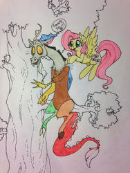 Size: 1224x1632 | Tagged: safe, artist:ameliacostanza, discord, fluttershy, g4, female, male, ship:discoshy, shipping, straight, traditional art, tree