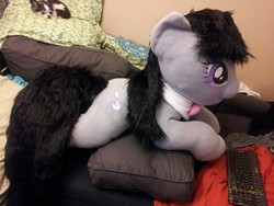 Size: 1280x960 | Tagged: safe, artist:littlewolfstudios, octavia melody, earth pony, pony, g4, cuddling, cute, fur, irl, life size, photo, plushie, snuggling