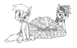 Size: 3840x2430 | Tagged: safe, artist:demmon1, derpy hooves, rainbow dash, pegasus, pony, g4, clothes, female, grayscale, high res, leaves, mare, monochrome, mouth hold, newbie artist training grounds, scarf, traditional art, wrapping