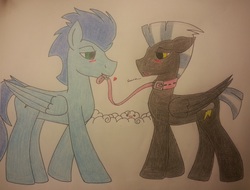 Size: 2888x2192 | Tagged: safe, artist:fluttershysshadow, soarin', thunderlane, pegasus, pony, g4, blushing, collar, embarrassed, gay, high res, leash, male, pet play, shipping, soarilane, stallion, traditional art