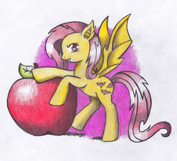 Size: 923x841 | Tagged: safe, artist:miyukikyki, fluttershy, g4, female, flutterbat, giant apple, solo, traditional art