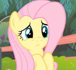 Size: 1157x1075 | Tagged: safe, screencap, fluttershy, pegasus, pony, filli vanilli, g4, female, frown, mare, reaction image, solo
