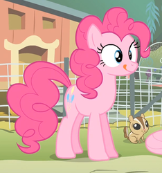 Size: 613x655 | Tagged: safe, screencap, pinkie pie, chipmunk, filli vanilli, g4, female, reaction image, silly, solo