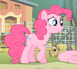 Size: 691x625 | Tagged: safe, screencap, fluttershy, pinkie pie, earth pony, pony, rabbit, squirrel, filli vanilli, g4, season 4, animal, cropped, female, fence, mare, raised hoof, reaction image, solo focus
