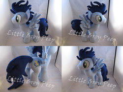 Size: 1024x769 | Tagged: safe, artist:little-broy-peep, soarin', pegasus, pony, g4, butt, customized toy, irl, male, photo, plot, plushie, stallion, toy