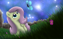 Size: 1440x900 | Tagged: dead source, safe, artist:sonicrainboom93, fluttershy, butterfly, g4, female, flower, night, solo