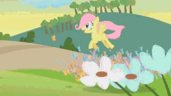 Size: 640x360 | Tagged: safe, edit, edited screencap, screencap, fluttershy, bird, butterfly, rabbit, flutterwonder, g4, the cutie mark chronicles, animated, blank flank, eye reflection, female, filly, filly fluttershy, flying, reflection, so many wonders, solo, younger